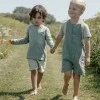 Детска Тениска с Къс Ръкав на Райета Forest Green