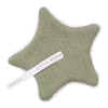 Дуду Звездичка за Биберон Pure Olive