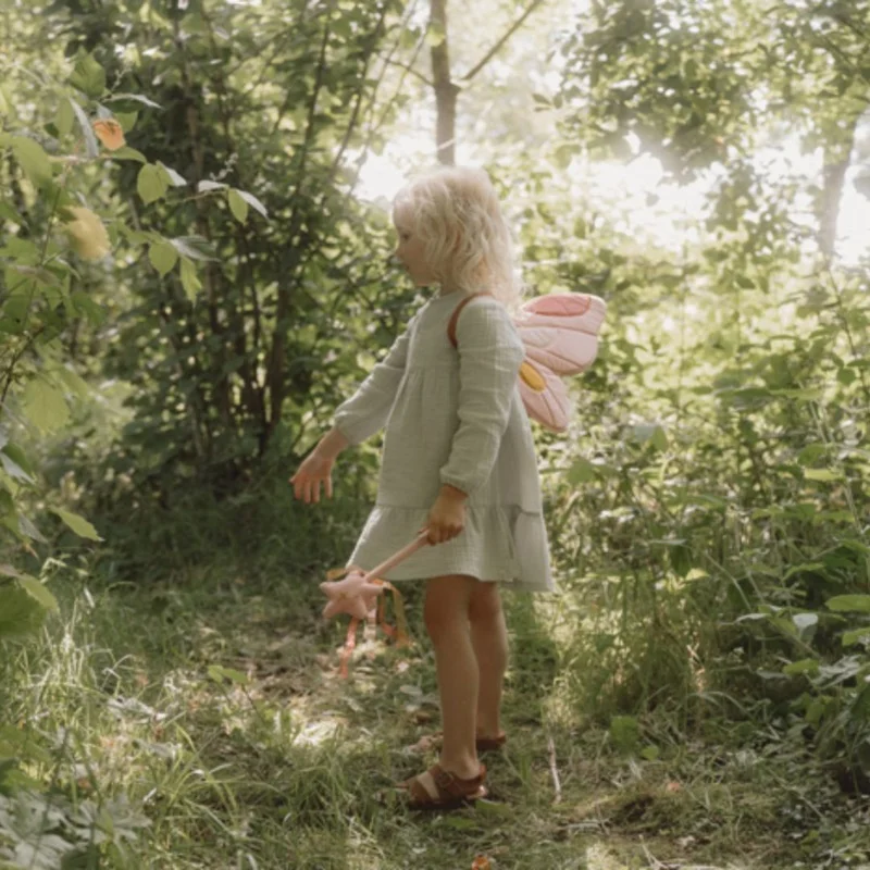 Крила на Фея и Вълшебна Пръчка Fairy Garden