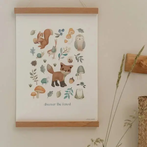Плакат Forest Wonders