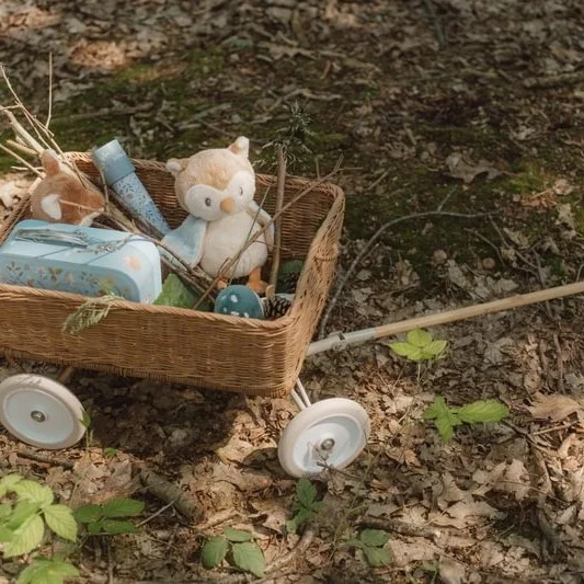 Плюшено Бухалче за Гушкане Forest Friends