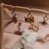 Дървена Активна Гимнастика Fairy Garden