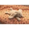 Плюшенo Зайче Teddy, Mist