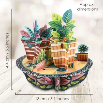 Картичка POP UP Pirouettes Potted Plants