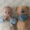 Бандана LIBERTY Chamomile Lawn Baby Blue BIBS