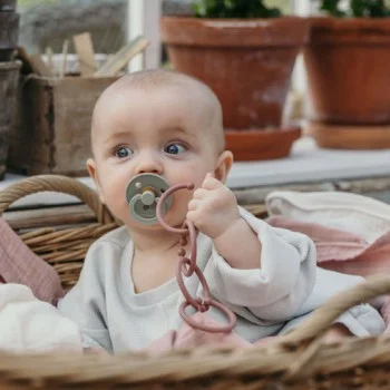 2 бр. Биберони BIBS COLOUR, Ivory/Sage, 6-18 месеца