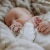 2 бр. Биберони BIBS Boheme, Blossom/Dusky Lilac, 6-18 месеца