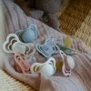 Биберон BIBS Couture, Blossom, Силикон, 6-18 месеца