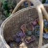 Биберон BIBS Couture, Blossom, Силикон, 6-18 месеца