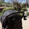 Бебешка Количка Elodie MONDO®, Black