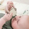 Гризалка Sheepy Powder
