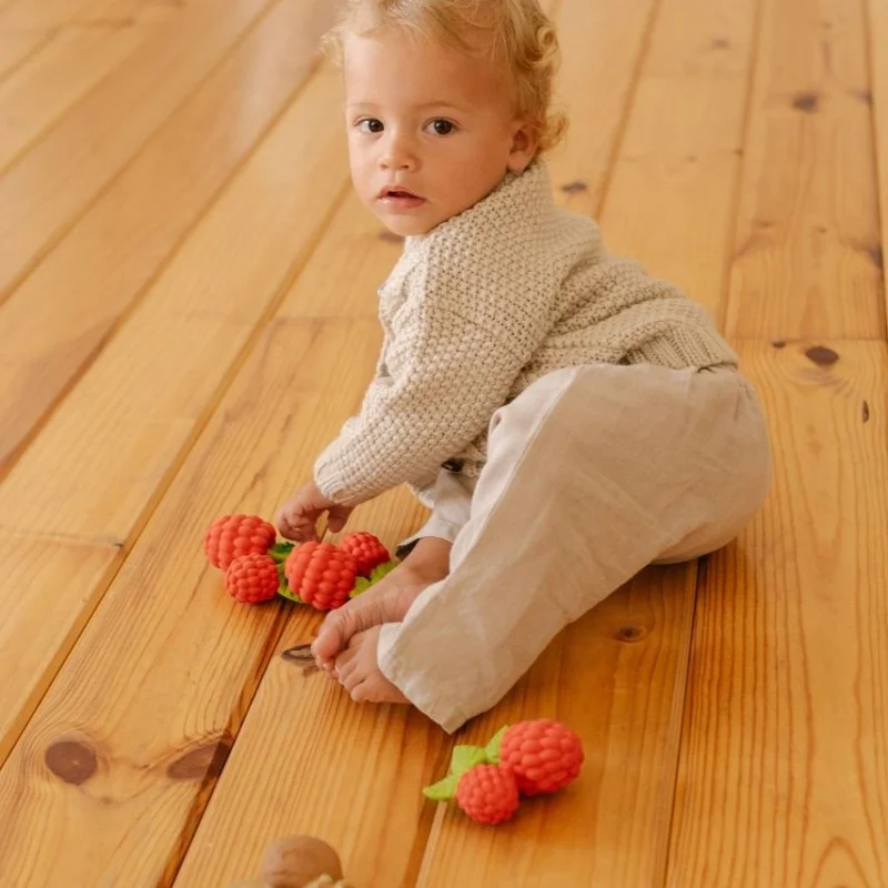 Гризалка VALERY THE RASPBERRY Oli&Carol	