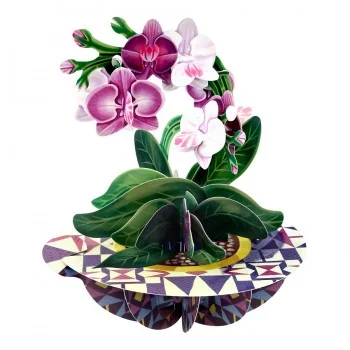 Картичка POP UP Pirouettes - Orchid