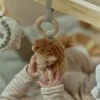 Дървена Активна Гимнастика Safari Friends