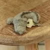 Кючодържател Крокодил - Safari Friends