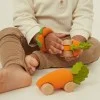 Бебешка Количка CATHY THE CARROT