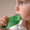 Гризалка Chlorophyll Leaf Oli&Carol